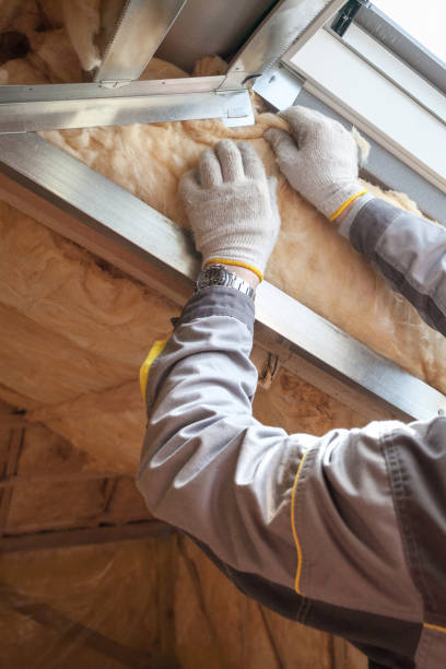 Best Insulation Maintenance and Repair in Campti, LA